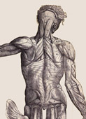 Andreas Vesalius