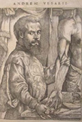 Vesalio