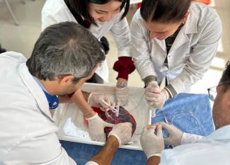 Posgrado medicina fetal