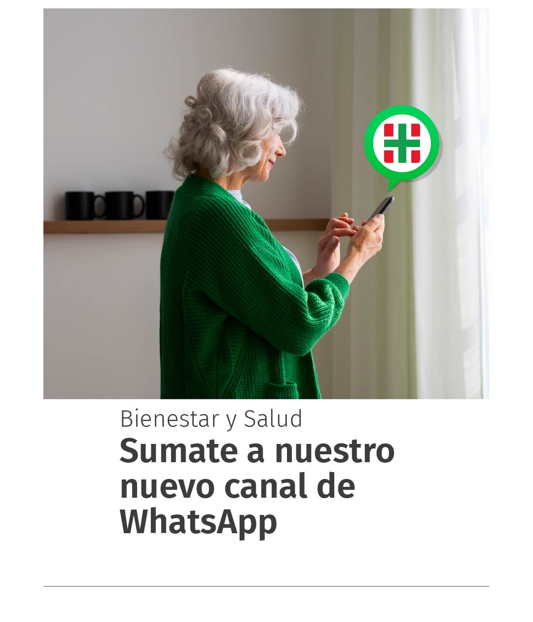 Imagen 2