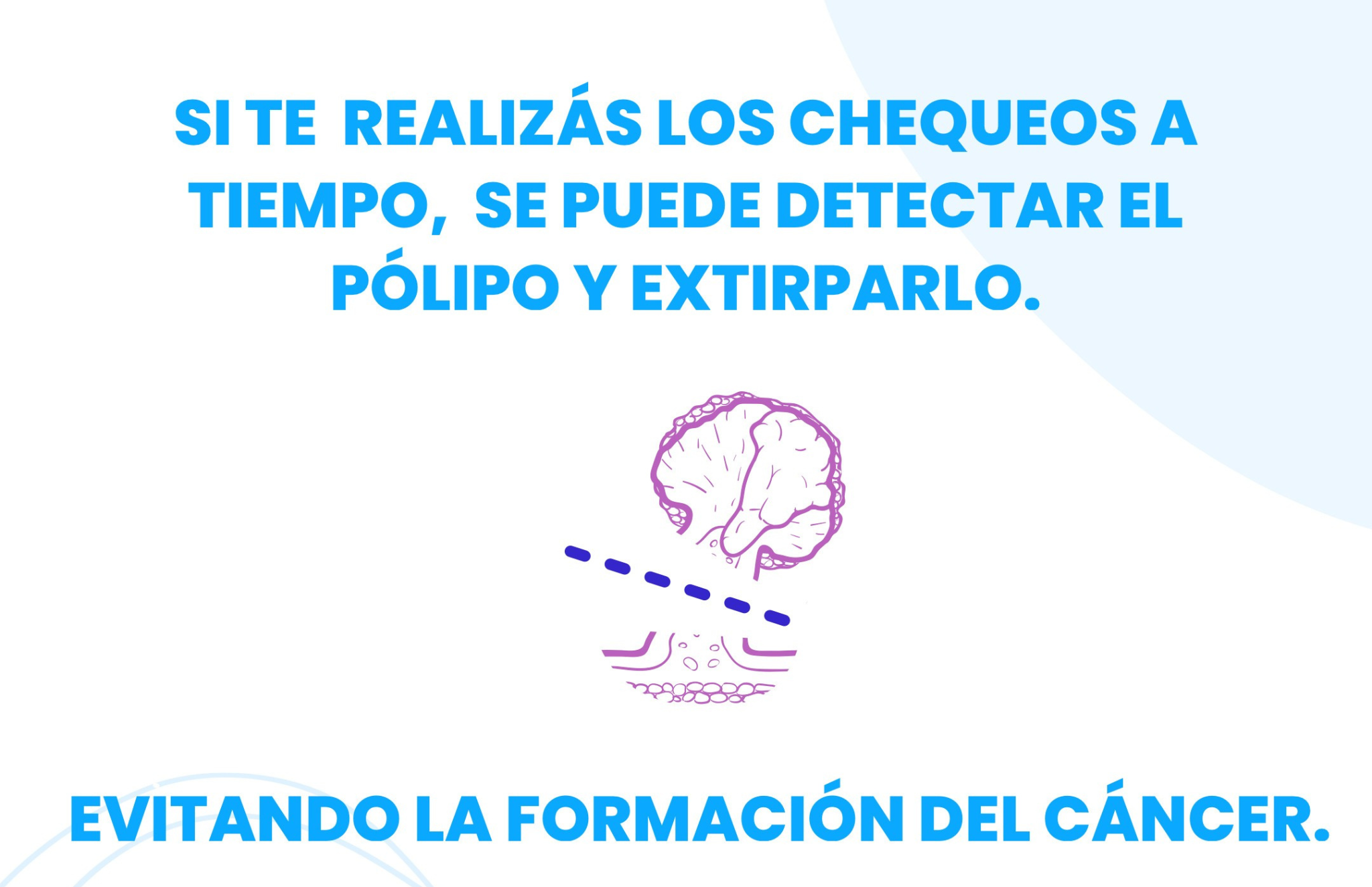 Placa 8