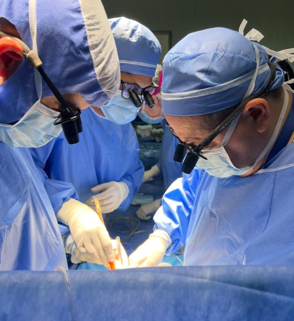 trasplante operacion