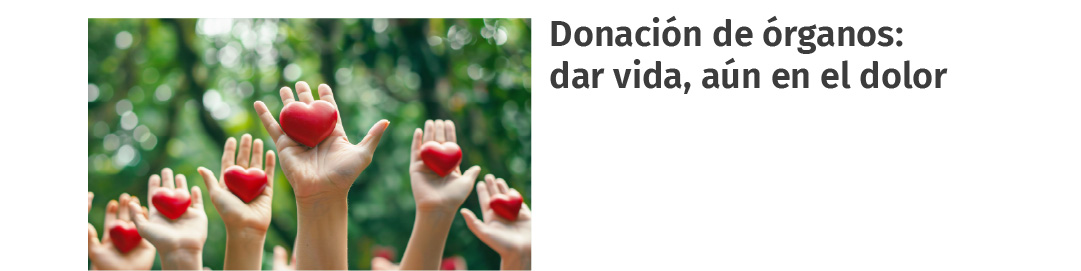 Imagen 8