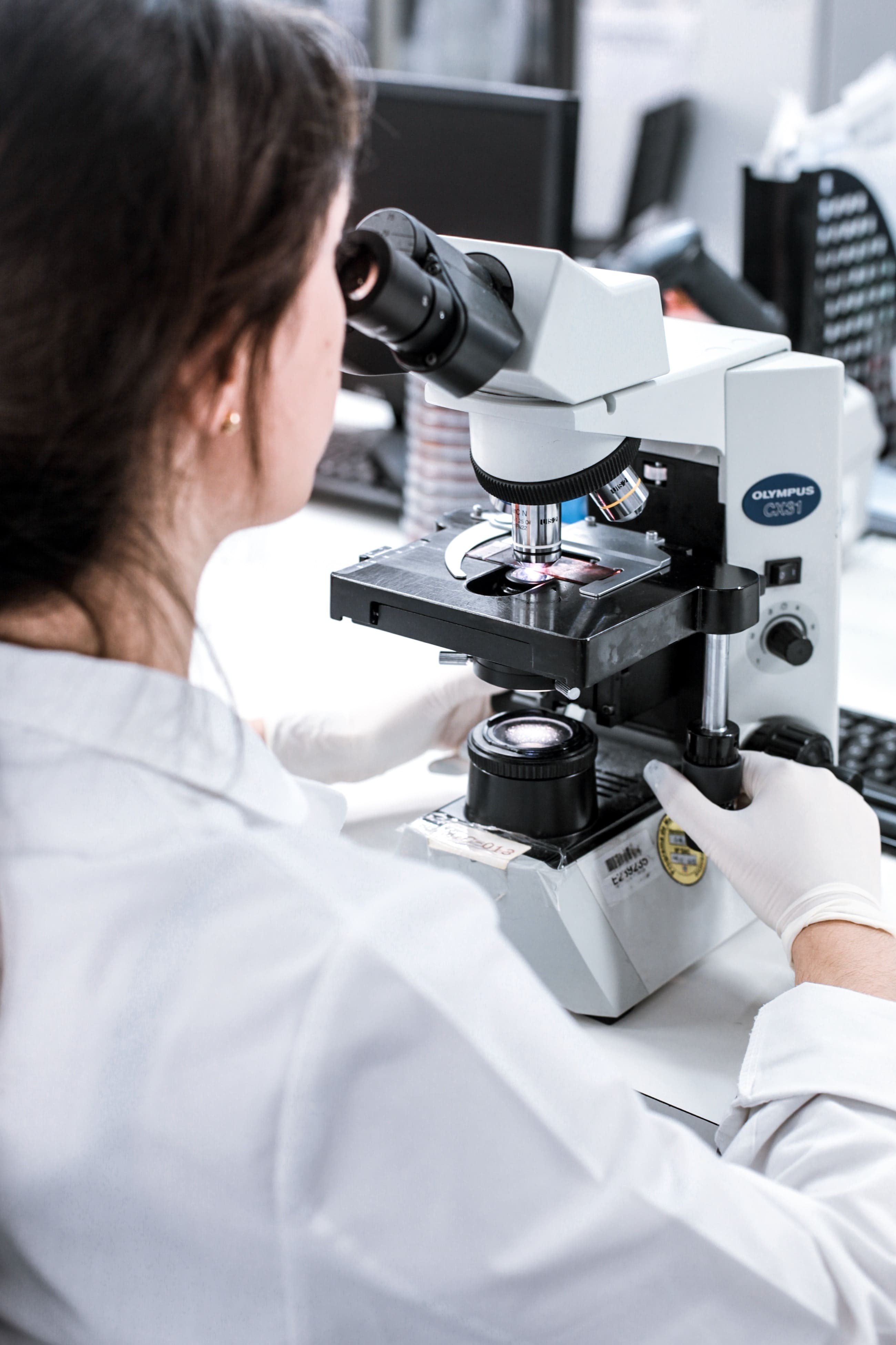 Investigación
