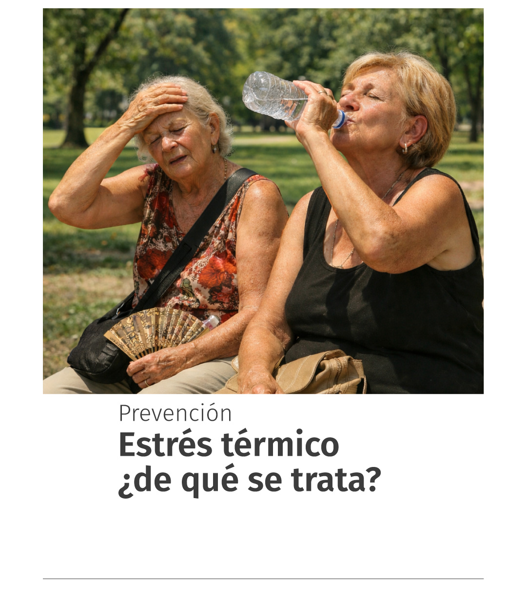 Estrés térmico: de qué se trata