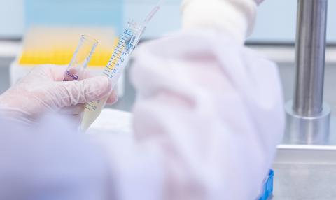 Laboratorio