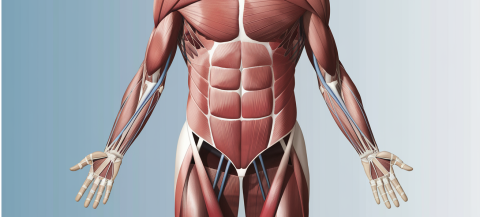 CORE