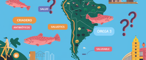 salmon