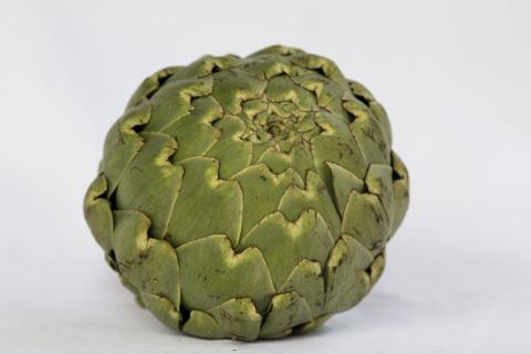 alcaucil