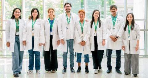 diabetes equipo
