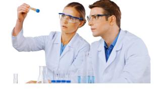Informática en salud basada en la evidencia