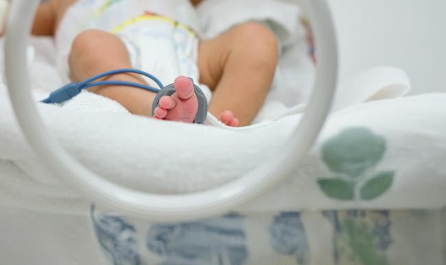 5. Programa Trasplante Cardíaco y Asistencia Ventricular - Cardiologia Pediatrica - CTA.jpg