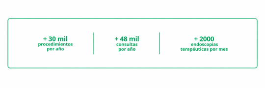 Datos en verde